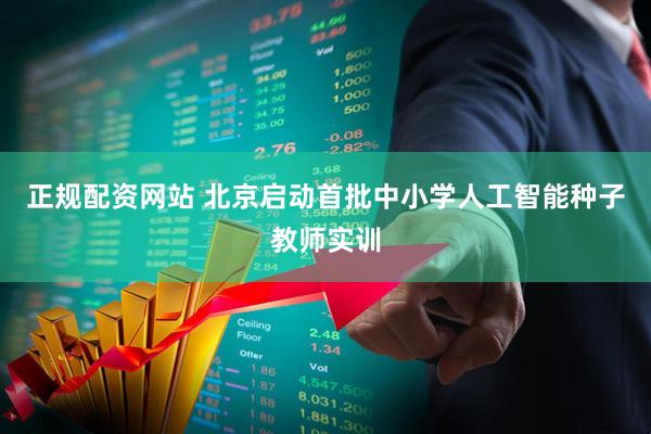 正规配资网站 北京启动首批中小学人工智能种子教师实训