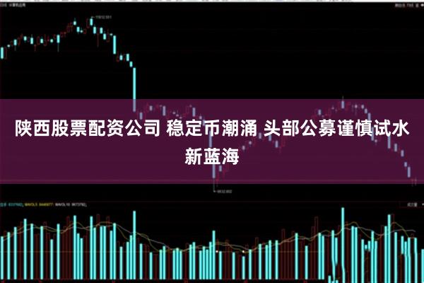 陕西股票配资公司 稳定币潮涌 头部公募谨慎试水新蓝海